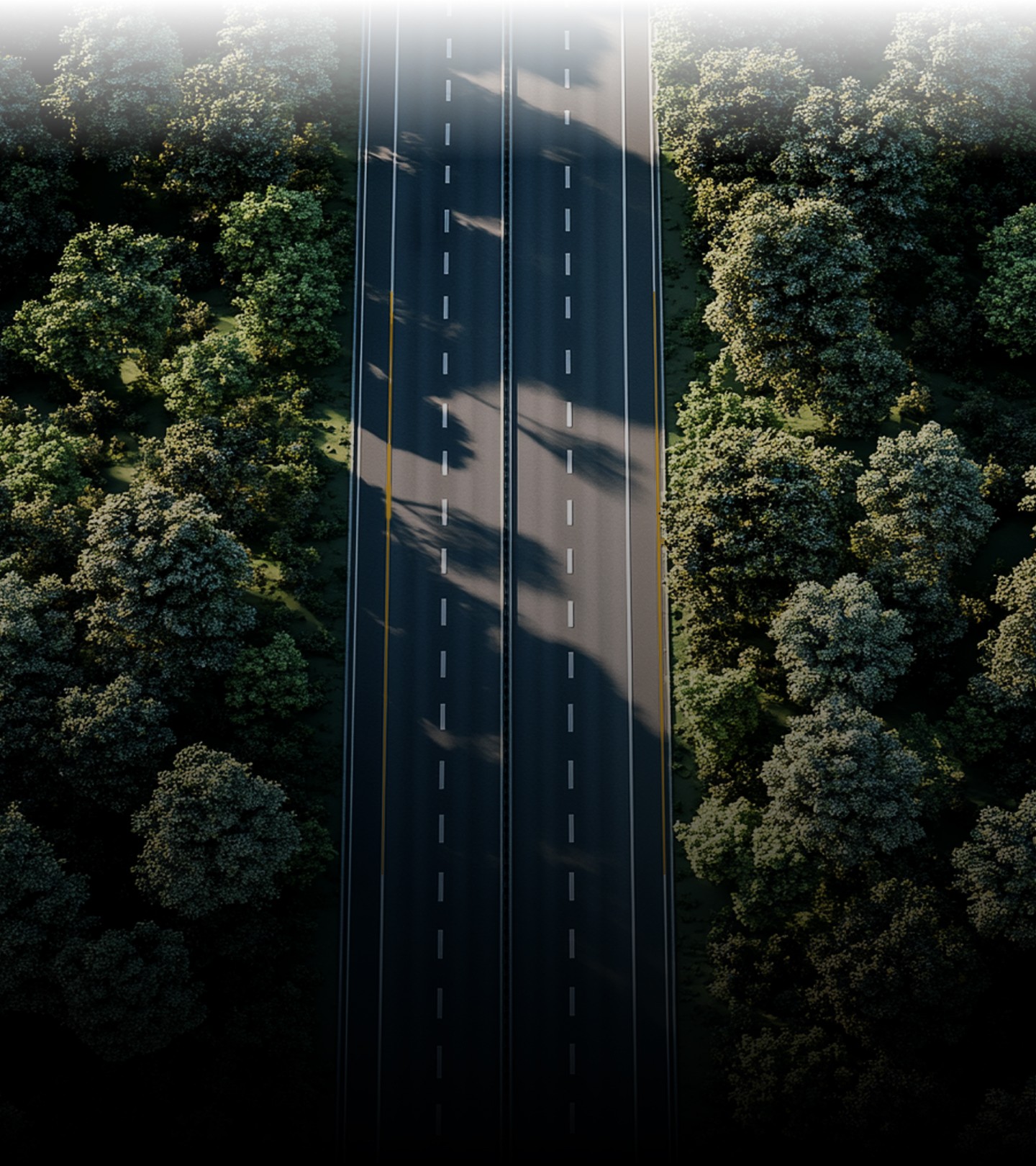 road background